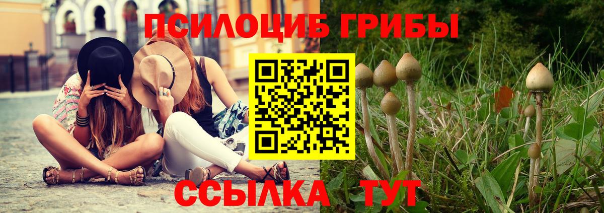 Галлюциногенные грибы Cubensis  Псилоцибиновые грибы ЛСД  Вход с VPN  Алушта 