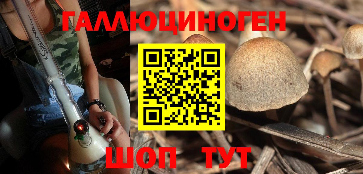 Галлюциногенные грибы GOLDEN TEACHER Алушта